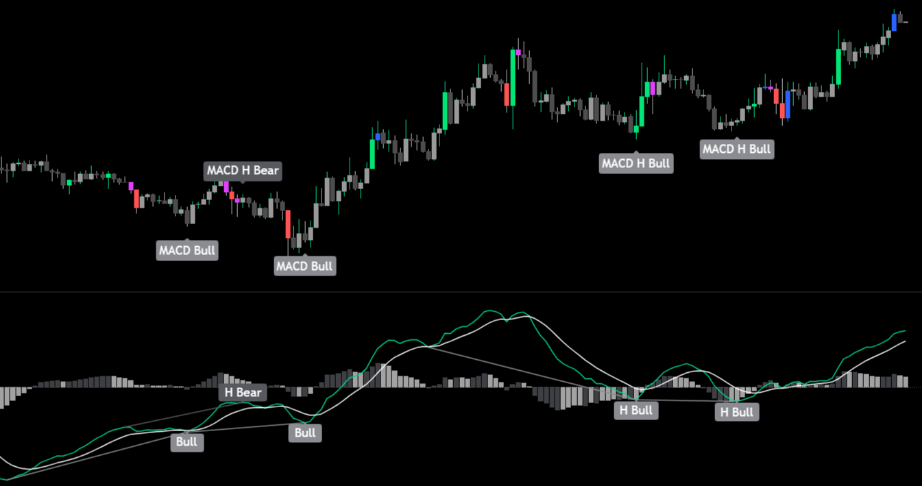 MACD Smart Suite – price chart with divergence labels and MACD subpanel with histogram and divergence signals