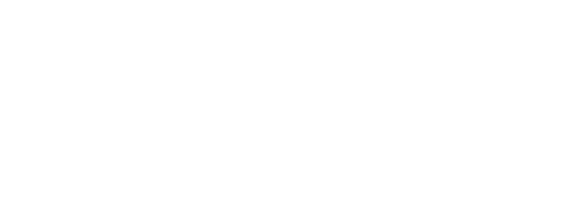 NordVPN Logo